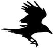 raven-post-logo