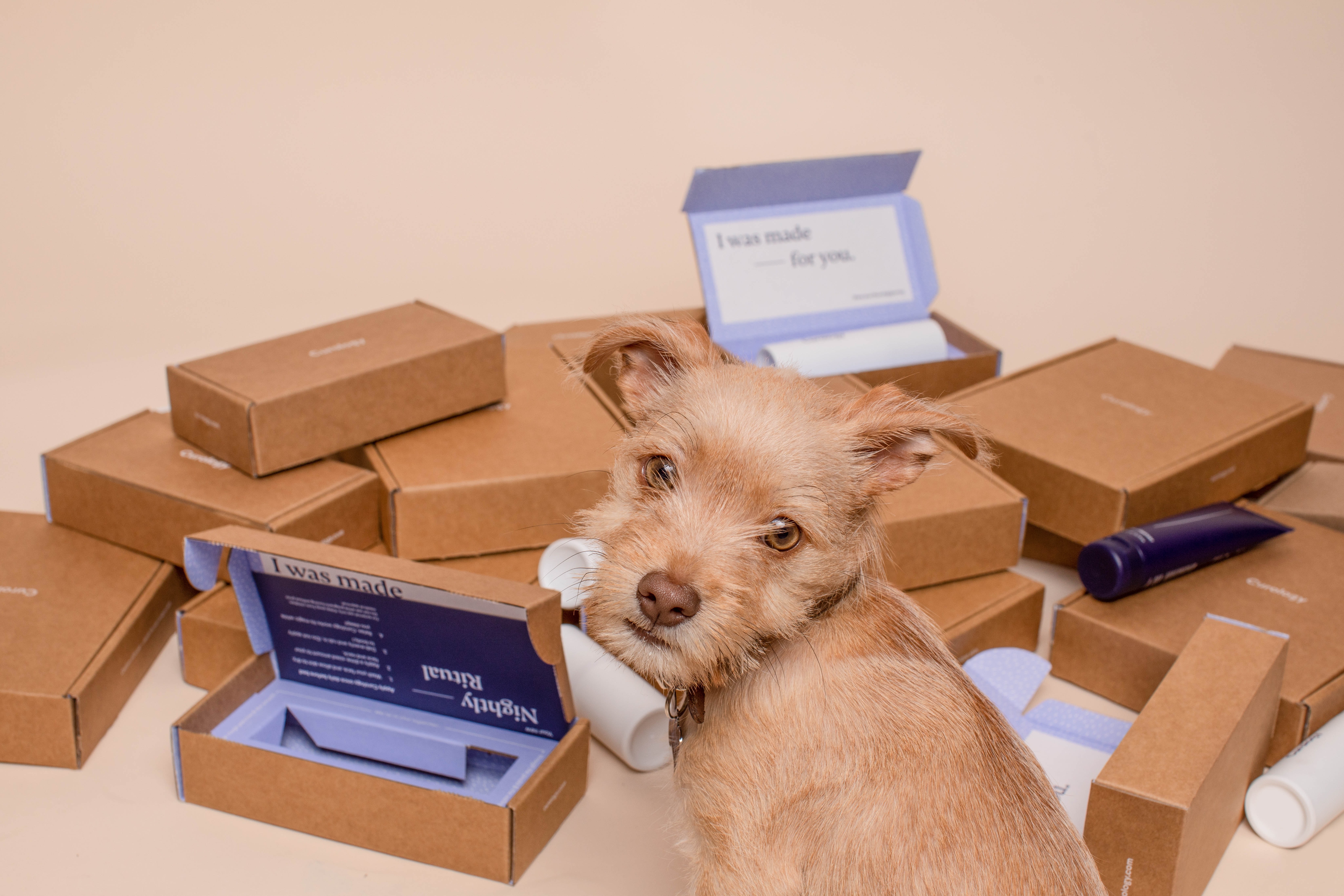Skunexus management software helps ecommerce merchants manage ups and downs of kitting operations.